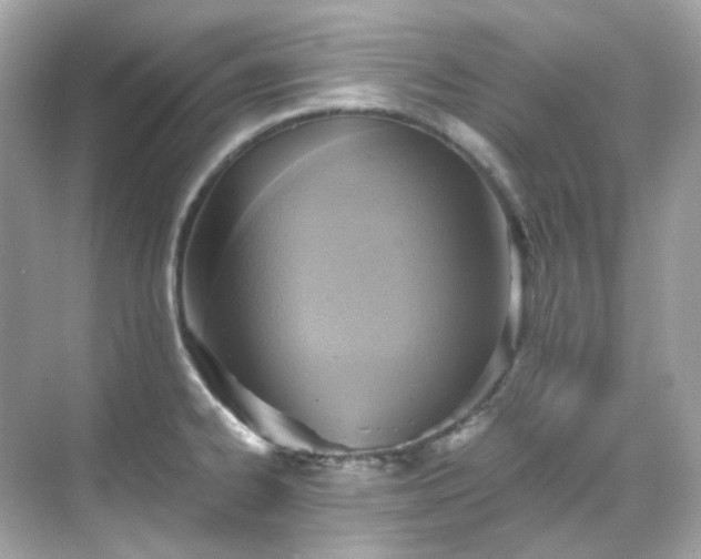 X0000068731334200605051449