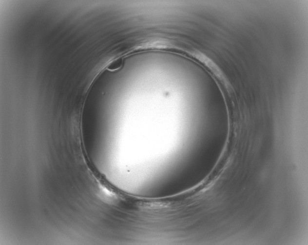 X0000068731337200605051449