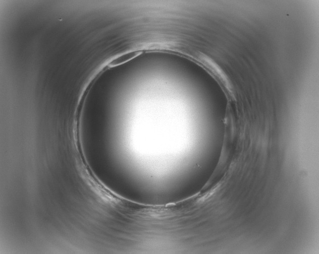 X0000068731340200605051449