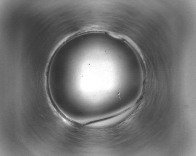 X0000068731341200605051449