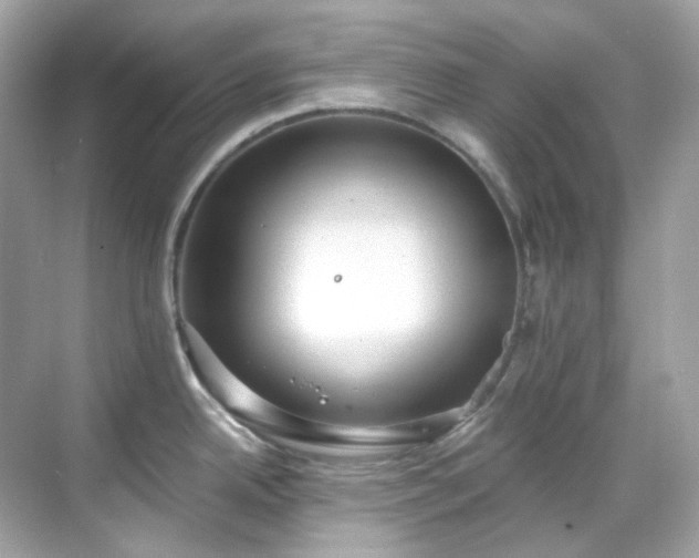 X0000068731342200605051449