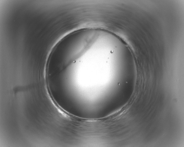 X0000068731343200605051449