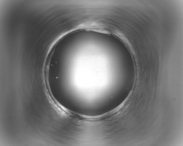 X0000068731344200605051449