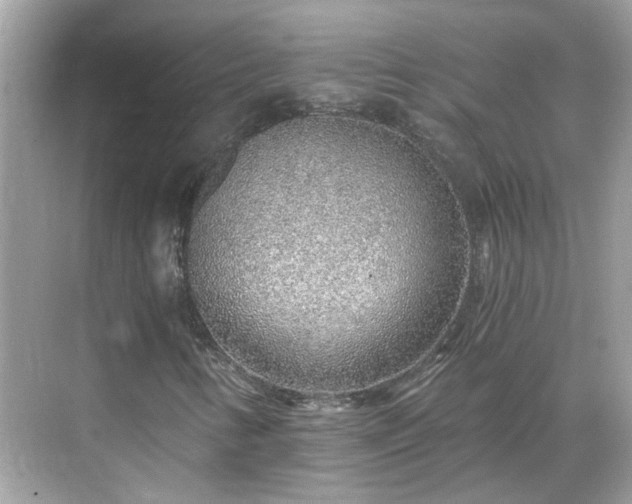 X0000068731346200605051448