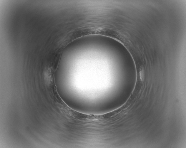 X0000068731347200605051448