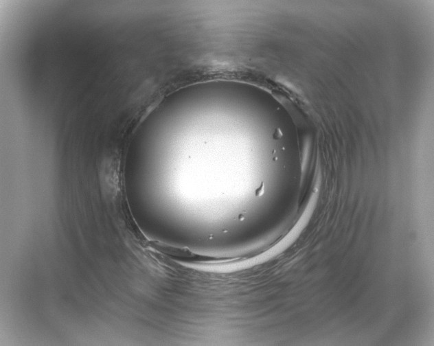 X0000068731348200605051448