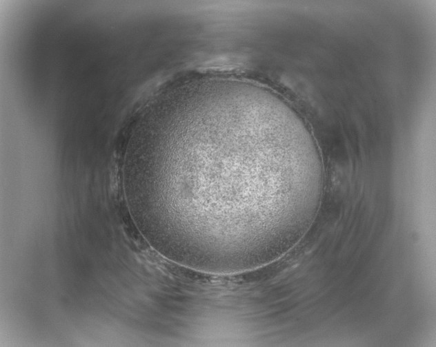 X0000068731350200605051448