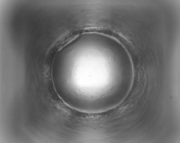 X0000068731351200605051448