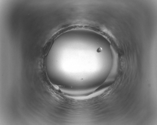 X0000068731352200605051448