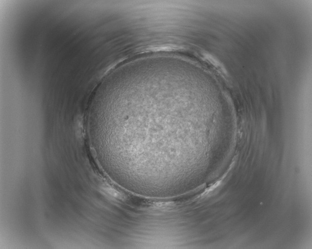 X0000068731353200605051448