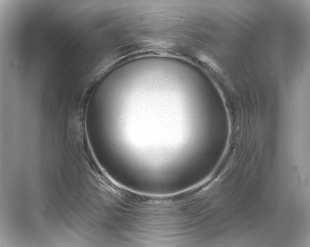 X0000068731354200605051448