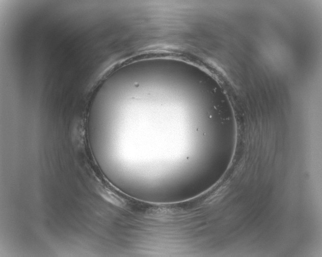 X0000068731355200605051448