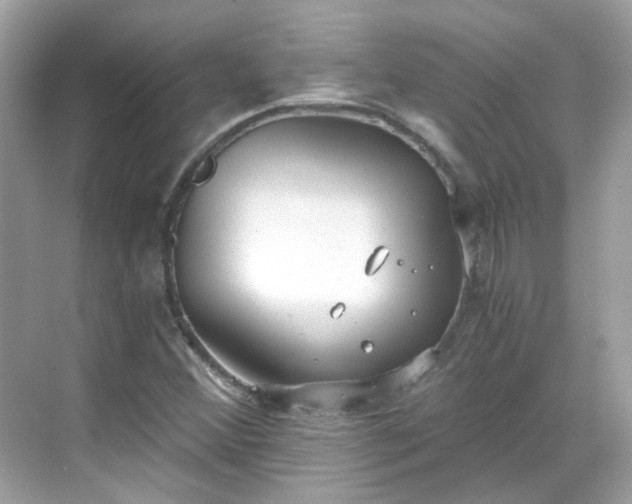 X0000068731356200605051448