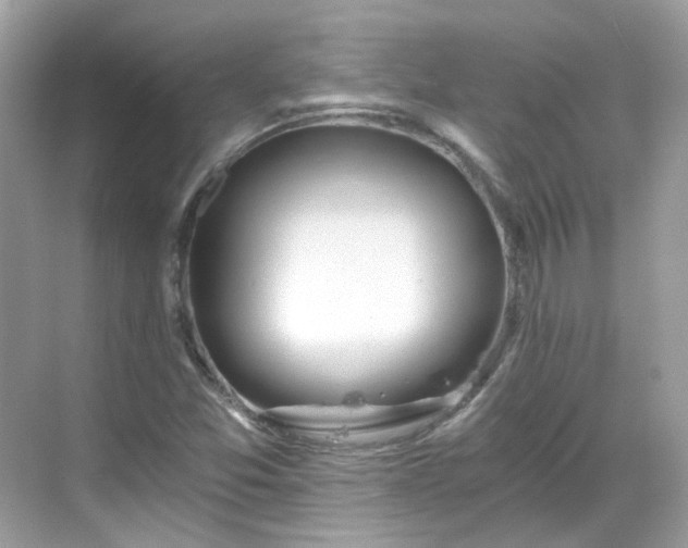 X0000068731357200605051448