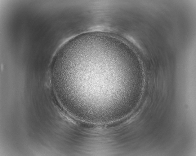 X0000068731358200605051448