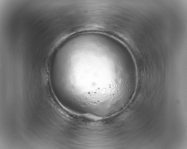 X0000068731363200605051448