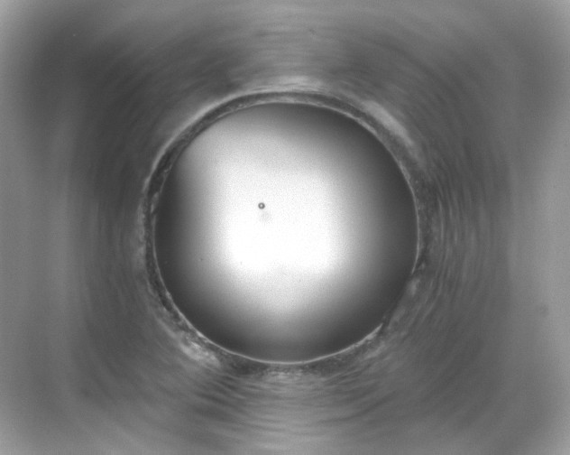 X0000068731364200605051448