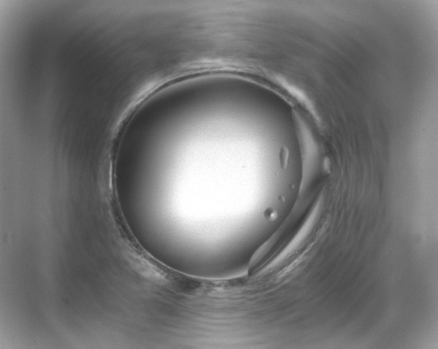 X0000068731365200605051448