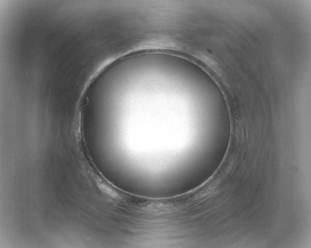 X0000068731366200605051448