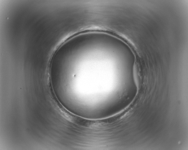 X0000068731367200605051448