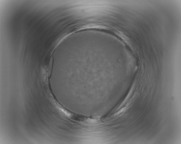 X0000068731369200605051448