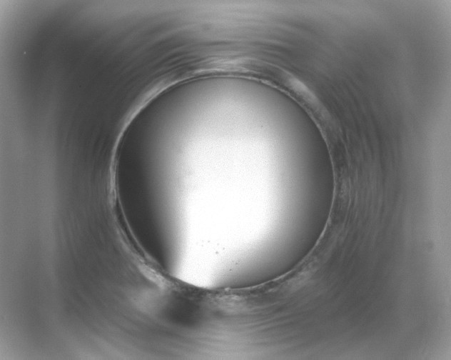 X0000068731370200605051448