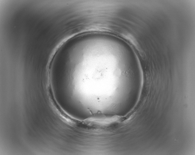 X0000068731371200605051448