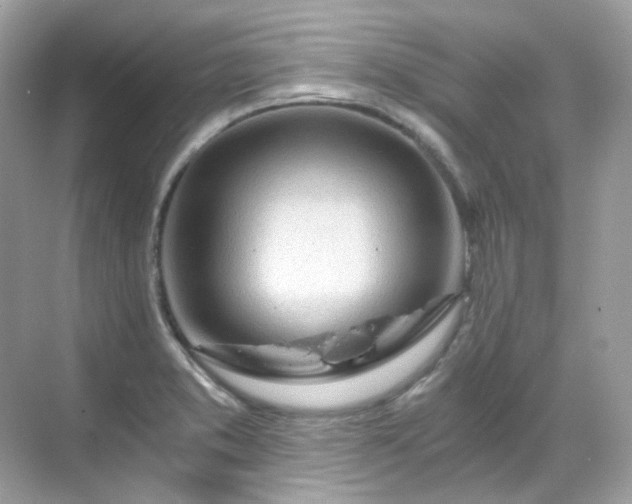 X0000068731373200605051448