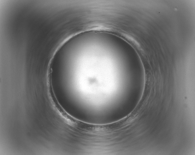 X0000068731375200605051448