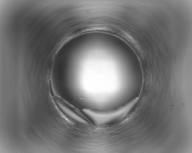 X0000068731377200605051448