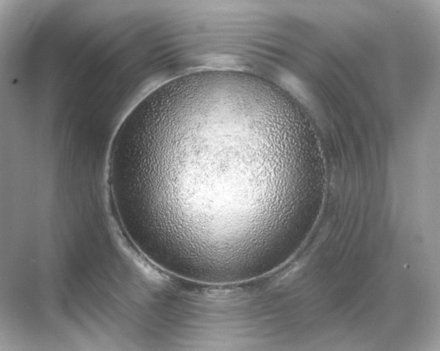 X0000068731378200605051448