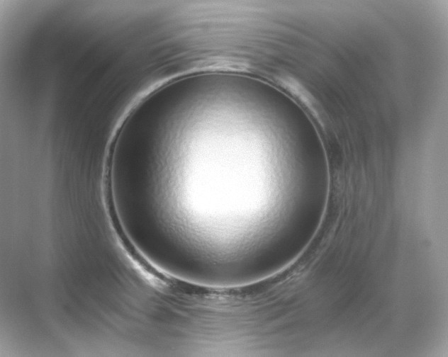 X0000068731379200605051448