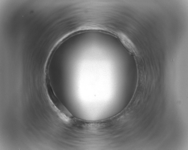 X0000068731380200605051448