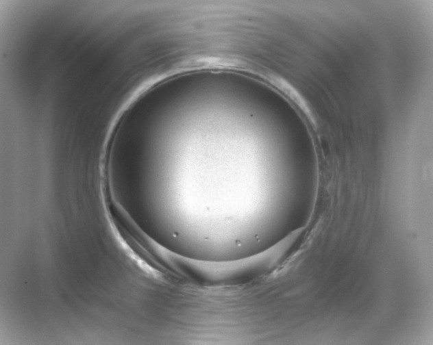 X0000068731381200605051448