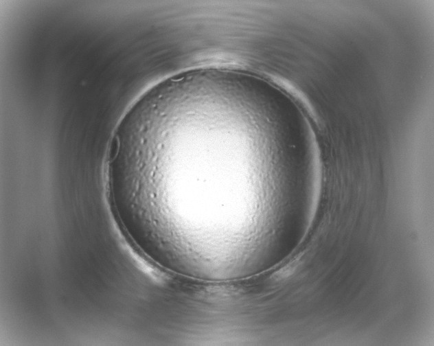 X0000068731383200605051448