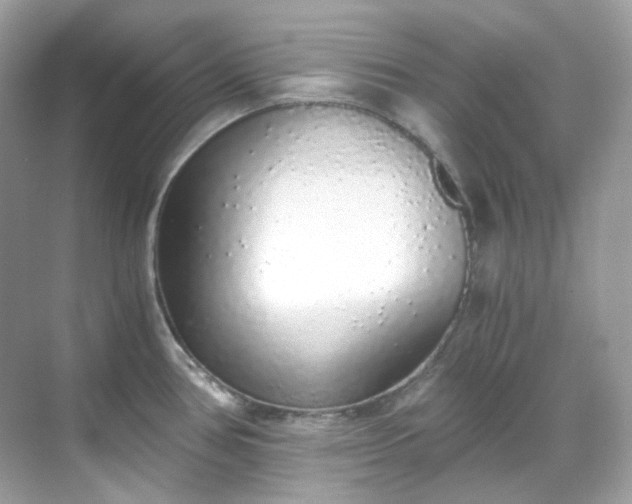 X0000068731386200605051448