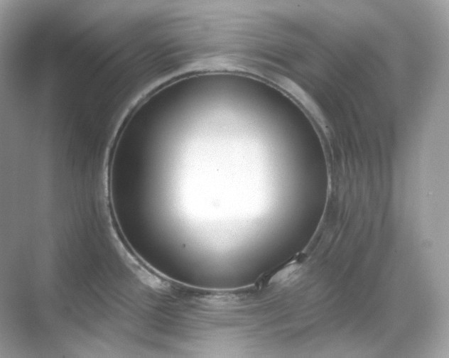 X0000068731388200605051448