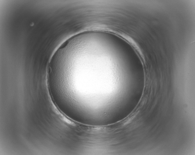 X0000068731390200605051447