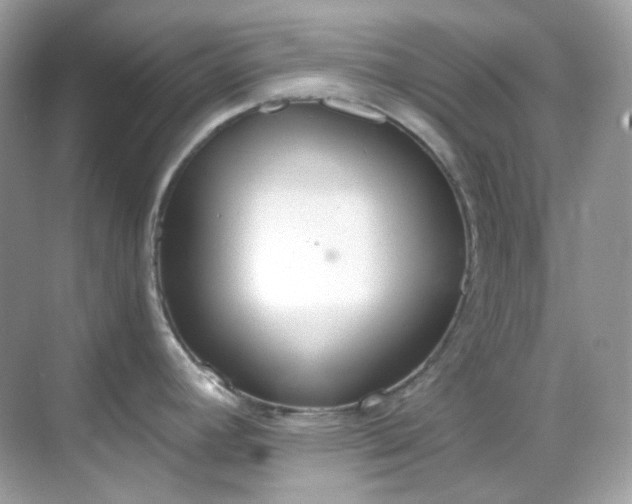 X0000068731392200605051447