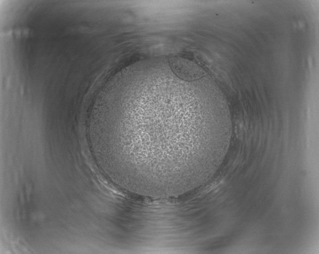 X0000068731393200605051447