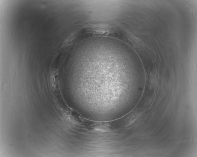 X0000068731394200605051447