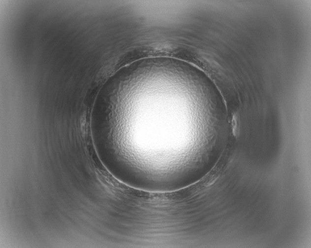 X0000068731395200605051447