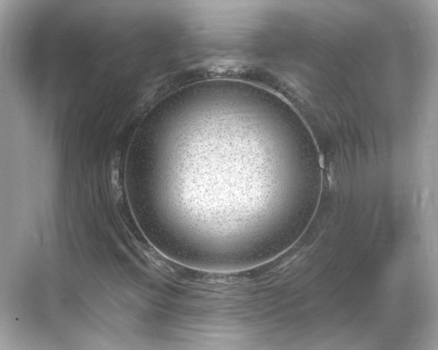 X0000068731396200605051447