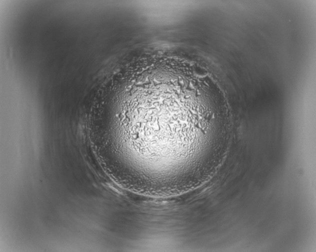 X0000068731397200605051447