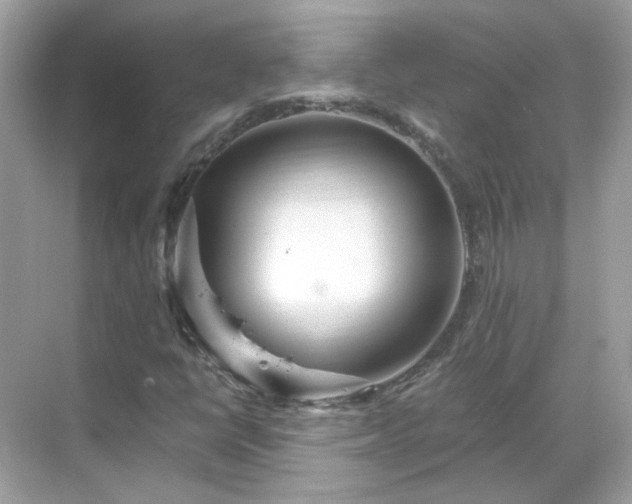 X0000068731398200605051447