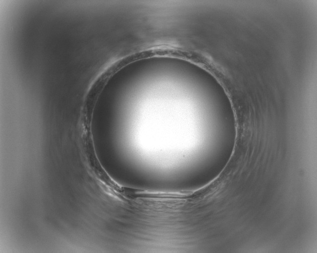 X0000068731400200605051447