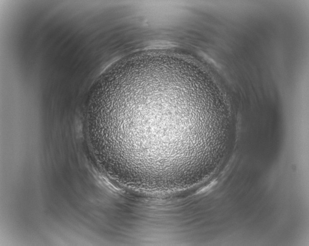 X0000068731401200605051447