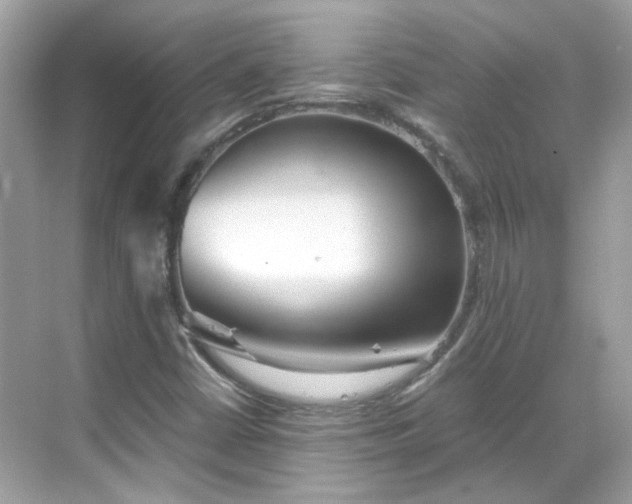 X0000068731402200605051447