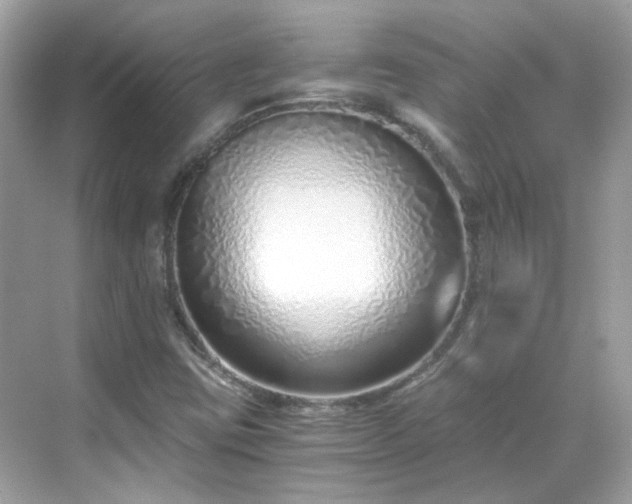 X0000068731403200605051447