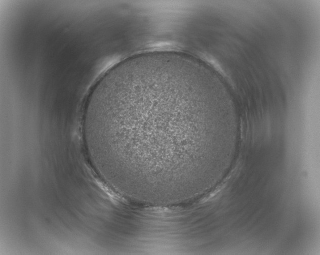 X0000068731405200605051447